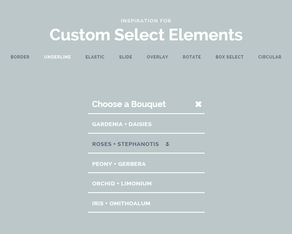 Inspiration-for-Custom-Select-Elements---Demo-2