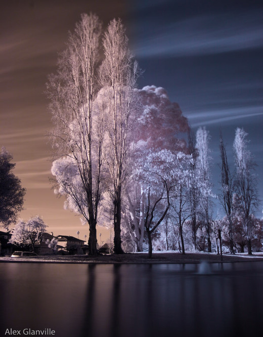 InfraRed Photography Action